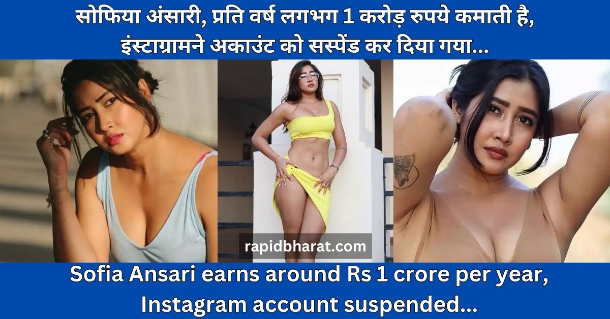 Sofia Ansari earns around Rs 1 crore per year, Instagram account suspended...