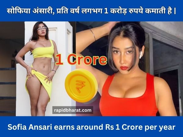 Sofia Ansari earns around Rs 1 crore per year